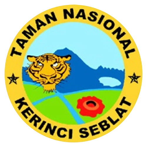 Logo TNKS